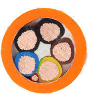 Flexible EV Charging Cable with Low Temperature Resistance (-40ºC) and Abrasion Resistant TPE/PVC Insulation for Electric Vehicles